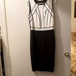 New Dress ! White House Black Market . Size 6 Black w Ecru